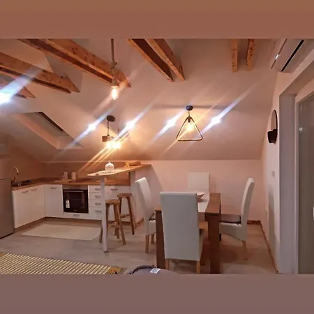 Apartment Miran San Belgrade Mali Mokri Lug